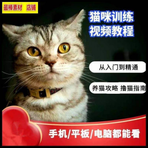 猫咪训练+养猫攻略大全技巧秘诀自学教程课程视频-淘宝虚拟馆