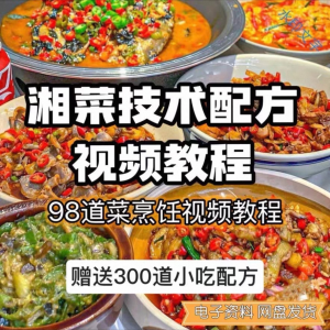 【0.01秒发】98道湘菜技术配方视频教程商用湖南菜炒菜特色小吃-淘宝虚拟馆