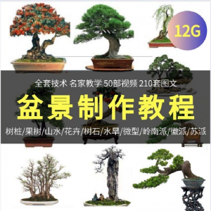 盆景制作技术视频教程工艺教学果树桩山水微型造型全套-淘宝虚拟馆