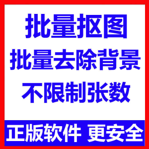 批量抠图工具 全自动去除图片背景软件 本地运行 不限制张数-淘宝虚拟馆