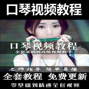 口琴自学教程视频零基础初学者入门到专业十孔24孔教学-淘宝虚拟馆