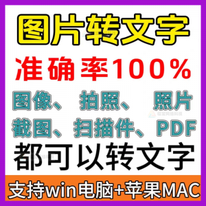 一键图片转文字拍照扫描件转Word文档Excel表格提取助手-淘宝虚拟馆