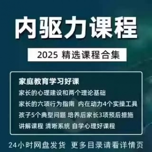 内驱力培训课程培养孩子自觉性提升内在亲子教育学习电子版资料-淘宝虚拟馆