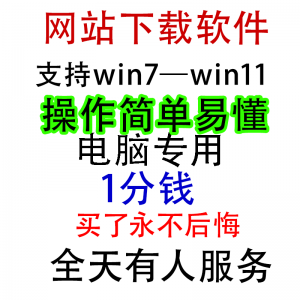 扒站扒网站扒网页扒全站下载修改下载软件克隆工具抓取拷贝单页-淘宝虚拟馆