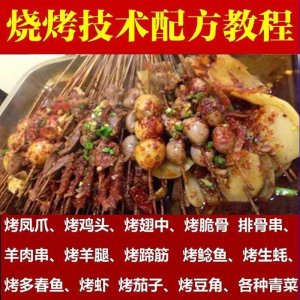 正宗全国烧烤技术配方全套视频教程配料技巧制作培训教学资料大全-淘宝虚拟馆