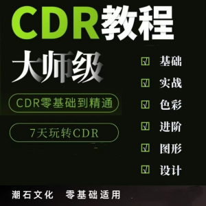 cdr教程视频Coreldraw自学平面设计广告排版零基础入门学习课程-淘宝虚拟馆