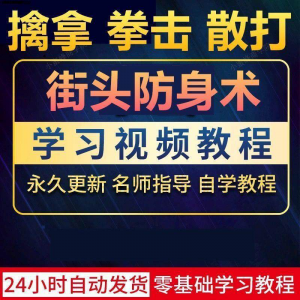 街头防身术擒拿拳击散打视频教程全套入门自学零基础学习教程视频-淘宝虚拟馆