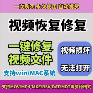 损坏MP4视频修复软件断电恢复工具短片导出摄像机视频文件修复-淘宝虚拟馆