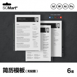 6套高级英文简历Word简历 ai psd设计师简历模板毕业生简历CV29-淘宝虚拟馆