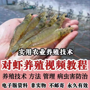 对虾养殖技术视频教学教程水质管理日常养护疾病防治南美白素材-淘宝虚拟馆