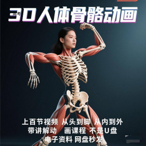 中医人体骨骼肌肉学习3D动态讲解演示视频自学零基础中医人体高考-淘宝虚拟馆