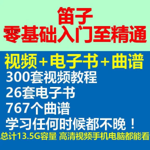 竹笛初学者曲谱入门课程笛零基础视频教学自零基础演奏电子版吹笛-淘宝虚拟馆