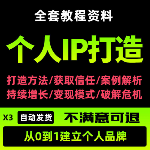 个人IP打造教程如何快速打造个人IP社交品牌定位训练营资料大全新-淘宝虚拟馆
