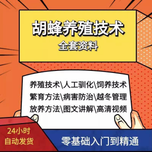 胡蜂养殖技术蜜蜂视频资料黄蜂黑盾怎样养胡蜂人工饲养教程大全-淘宝虚拟馆