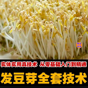 自学发豆芽技术资料豆芽加工制作方法教学 培育豆芽商用视频教程-淘宝虚拟馆