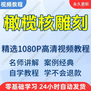 橄榄核雕刻视频学习教程新手自学零基础入门精通教学课程全集-淘宝虚拟馆