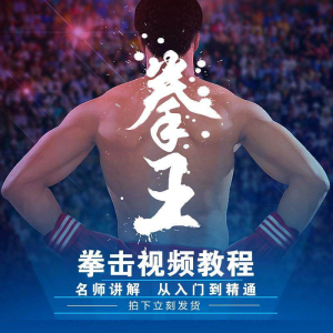 拳击教学视频 自学教程 训练零基础运动入门健身搏击格斗武术课程-淘宝虚拟馆