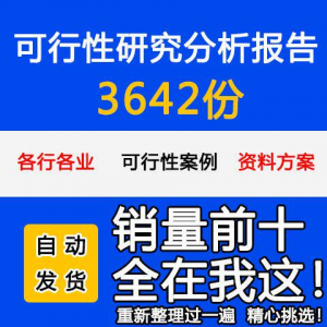 项目可行性研究分析报告案例品牌融资投资研究资料方案大全模板-淘宝虚拟馆
