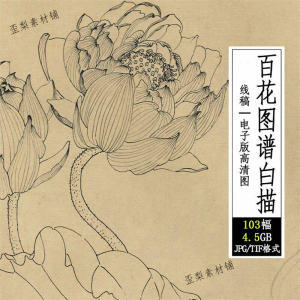 百花图谱白描线稿图集 国画花卉植103幅tif格式3.6G高清图片素材-淘宝虚拟馆